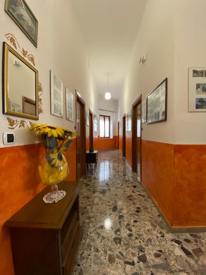 Bed And Breakfast Da Antonio - Оргозоло Екстериор снимка