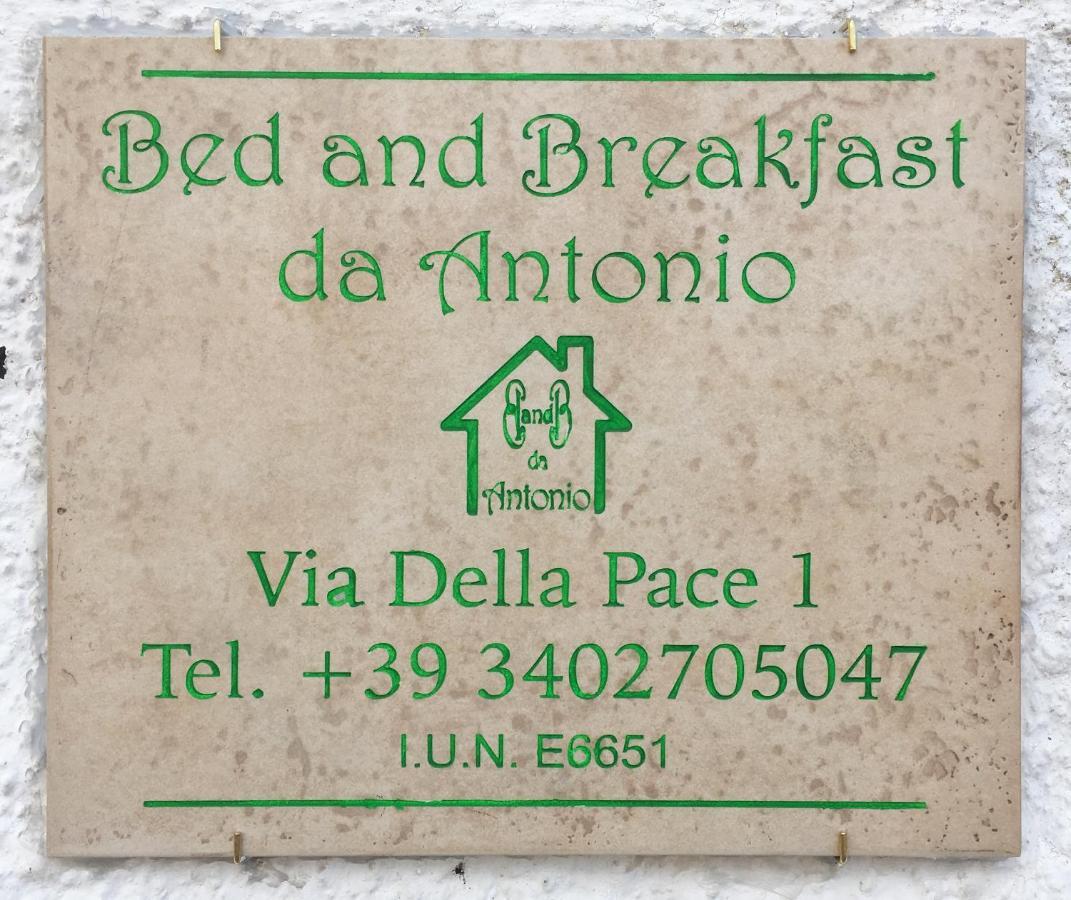 Bed And Breakfast Da Antonio - Оргозоло Екстериор снимка