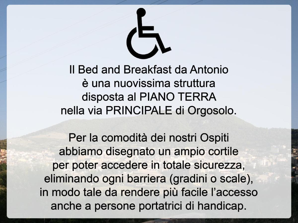 Bed And Breakfast Da Antonio - Оргозоло Екстериор снимка